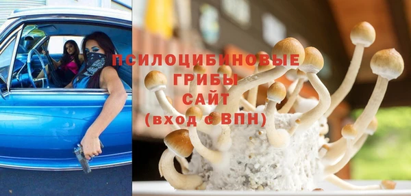 СК Алексеевка