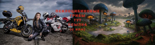 СК Алексеевка